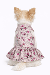 Küçük Irk Spring Days Köpek Elbisesi Köpek Kıyafeti (1-10KG)