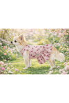 Küçük Irk Spring Days Köpek Elbisesi Köpek Kıyafeti (1-10KG)
