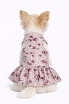 Küçük Irk Spring Days Köpek Elbisesi Köpek Kıyafeti (1-10KG)