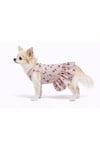 Küçük Irk Spring Days Köpek Elbisesi Köpek Kıyafeti (1-10KG)
