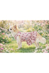Küçük Irk Spring Days Köpek Elbisesi Köpek Kıyafeti (1-10KG)