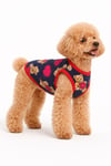 Küçük Irk Sweet Bear Köpek Atleti Kedi Atleti Köpek Kıyafeti (1-10KG)
