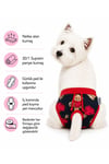 Küçük Irk Sweety Bear Köpek Regl Çamaşırı Köpek Kıyafeti (1-10KG)