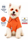 Küçük Irk Turuncu Muslin Yazlık Kedi Gömleği Köpek Gömleği (1-10KG)