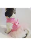 Prenses Tütü Kedi Köpek Elbisesi Kedi Köpek Kiyafeti 1-10 kg