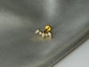 Square Gold Titanyum Piercing