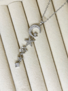 SELİN ACCESSORY ÇELİK KOLYE(45cm)