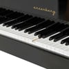 Arsenberg Speyer AGP150B Siyah Grand Piyano