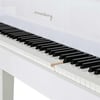 Arsenberg Speyer AGP150W Beyaz Grand Piyano