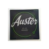 auster-aas1047-akustik-gitar-teli--dd99d.jpg