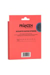 Pranzen PSA550CL Customlight Akustik Gitar Teli