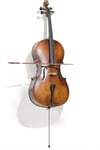 Ravenni RC44 4/4 Çello