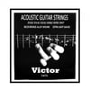 victor-akustik-gitar-teli-d5e-8f.jpg