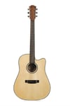 Zoppran ACZP15M Akustik Gitar