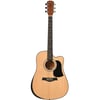 Zoppran Carneville M7 Akustik Gitar