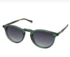 Lee Cooper LC1540.C5 Gözlük