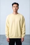 SARI BİSİKLET YAKA BASİC SWEATSHİRT 7014