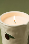 Bistro Fresh Olive Ceramic Candle