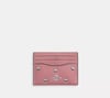 Coach yeni sezon Id case