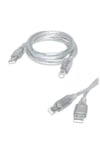 5 Metre Şeffaf Kaplamalı USB 2.0 Yazıcı ve Tarayıcı Kablosu - Tüm Markalarla Uyumlu (Tip A - Tip B)