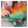3D Stegosaurus - Kitap ve 3D Model