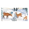 Big Outdoors for Little Explorers: Snow