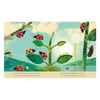 Explore a Tiny World Full of Life - Bugs