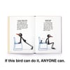 How to be a Fit Bird