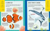 My Incredible Ocean Expedition