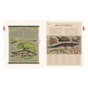 Natural World-A Visual Compendium of Wonders from