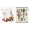 Natural World-A Visual Compendium of Wonders from