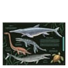 Secret Stories of Lost Beasts