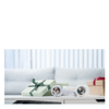 StoryPhones Bundle with 2 StoryShields
