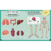 What- How- Why - Human Body