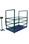 1500 Kg 100x200 Cm Canlı Hayvan Baskülü