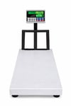 300 Kg 50x60 Cm Sayıcı Baskül