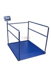 CW 300 KG X 100 GR 90 X 120 DİYALİZ BASKÜLÜ ( TEK RAMPA )