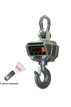 CX 10 Ton Vinç Baskülü