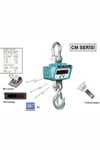 Densi -CM 10 Ton Askılı Yazıcılı Vinç Kantarı Kumandalı Yazıcılı