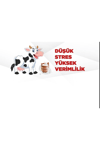 Hayvan Kaşıma Fırçası Makinesi