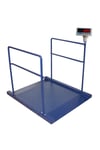HCT 300 Kg  90X120 Cm Diyaliz Baskülü ( Çift Rampalı )