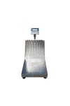 Paslanmaz Platform Baskül 50x60 cm 300 kg