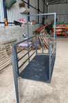 Pro 100 X 200 Cm 2 Ton Ekonomik Canlı Hayvan Baskülü