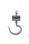 SL 300 Kg Çengelli Baskül