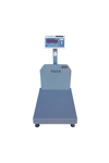Tess Elektronik Yazıcılı Baskül 40x50 cm - 150 kg