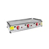 ALPİNA 100 CM PLEYT IZGARA GAZLI