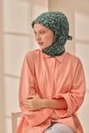 Silkhome 