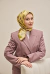 Silkhome 