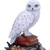Harry Potter Hedwig Figür Figurine 22cm