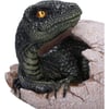 Raptors Dawn 10cm